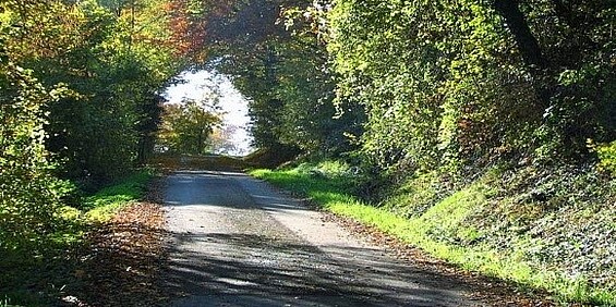 Zu Fuß auf einer besonderer Reise….